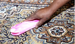 Oriental Rug Cleaning Services