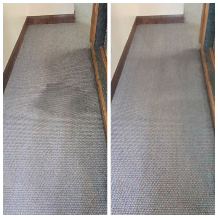 carpet cleaning before and after