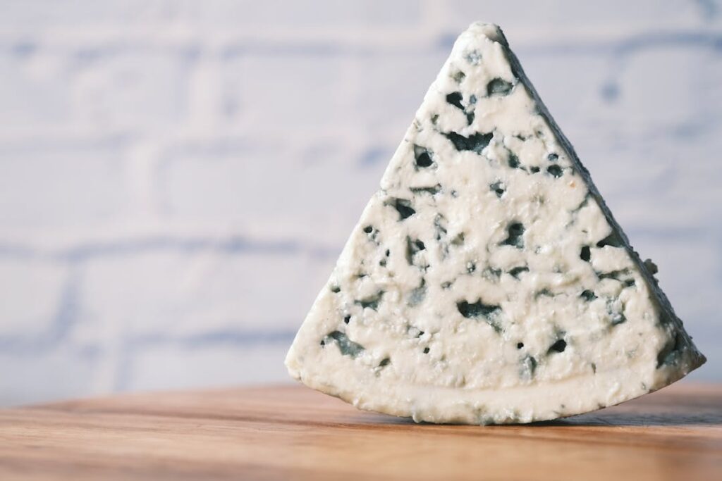 Blue cheese with mold
